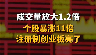 成交量放大1.2倍 個(gè)股暴漲11倍 注冊(cè)制創(chuàng)業(yè)板亮了_副本.jpg