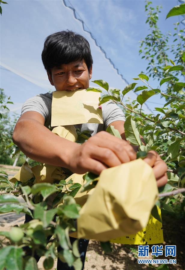 ����(x��)��ƽ��С�����¡��D�Ļ���(d��ng)����2�����Һ����ε�һ����������׌�l(xi��ng)�H���һ�D�⡱������(x��)��ƽ��Óؚ����(ji��n)�Ĺ���