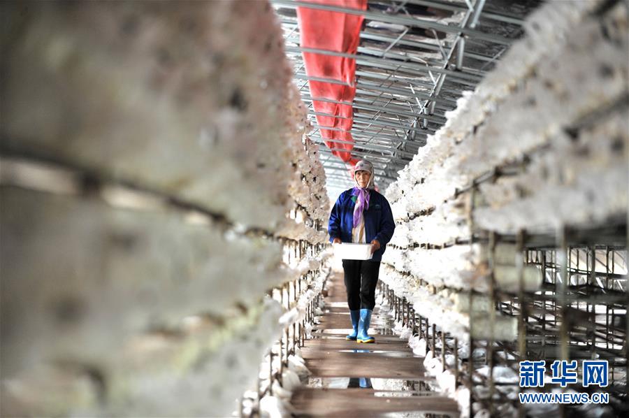 ����(x��)��ƽ��С�����¡��D�Ļ���(d��ng)����6�����Һ����ε�һ����������׌�l(xi��ng)�H���һ�D�⡱������(x��)��ƽ��Óؚ����(ji��n)�Ĺ���