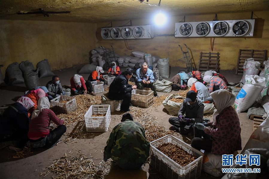 ����(x��)��ƽ��С�����¡��D�Ļ���(d��ng)����8�����Һ����ε�һ����������׌�l(xi��ng)�H���һ�D�⡱������(x��)��ƽ��Óؚ����(ji��n)�Ĺ���