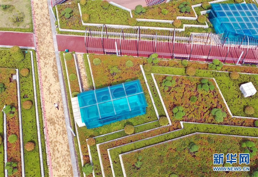 �������҂���С������D�Ļ��ӣ���2��15��犡�Ȧ������������