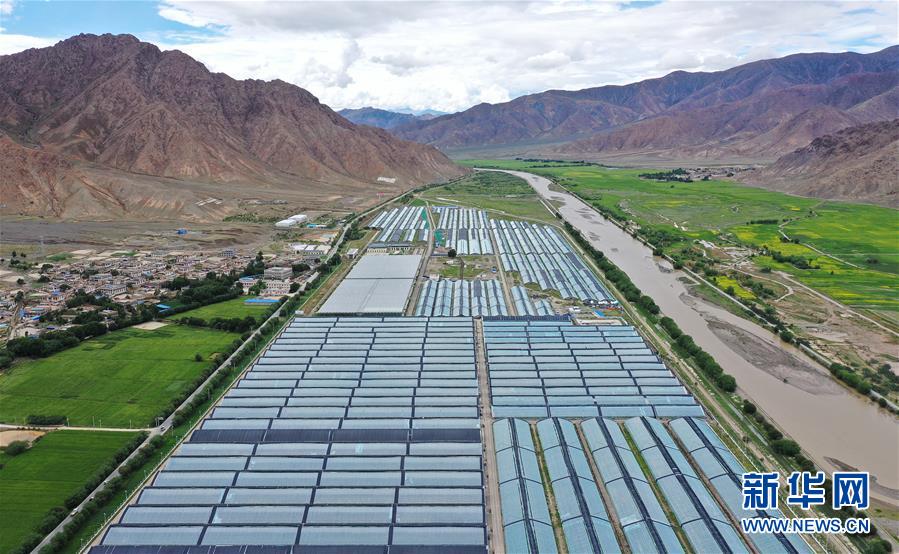 �������҂���С������Q��(zh��n)�Q��Óؚ����(ji��n)���D�Ļ���(d��ng)����2����ԭϲҊ(ji��n)���۹�G�������������ݼ����ϵ��߲˰l(f��)չ���E