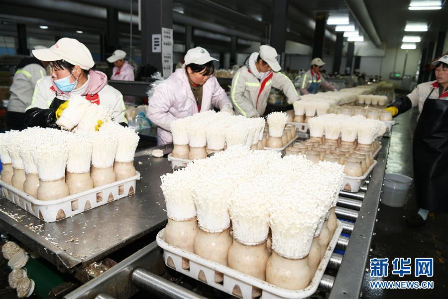 �������҂���С������D�Ļ��ӣ���2�����ɡ�ͬ�ġ���(zh��n)ؚ��