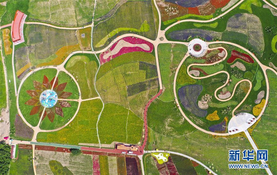 �����Aȫý�^�l�������҂���С������D�Ļ��ӣ���2�������������Ҽҡ����ڼ�����һƳ�Ї��|���l(xi��ng)������δ��