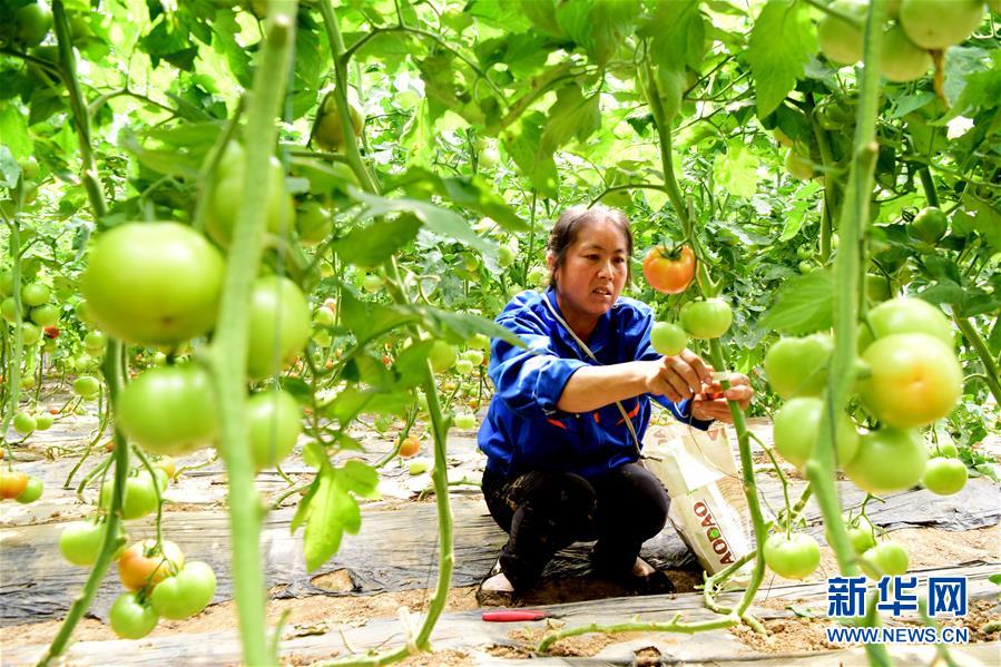 ��Óؚ����(ji��n)����1���������ϣ���ؚģʽ��������