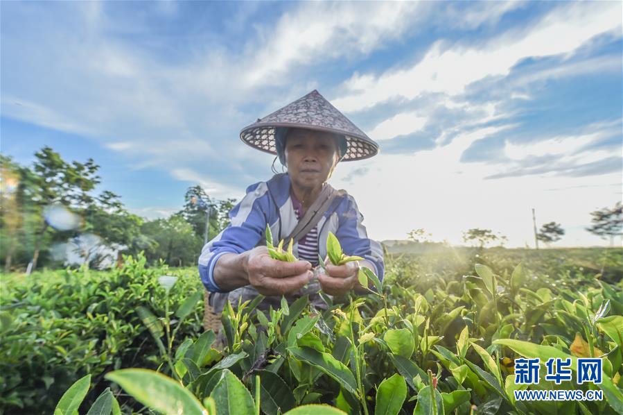 �����(hu��)����1�����ϣ����l(xi��ng)���~��Óؚ