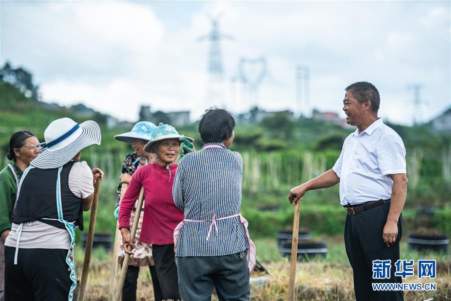 �����Aȫý�^�l���D�Ļ��ӣ���2��Ó��܊�b�������]�������ġ���(zh��n)���������F�ݡ���֧����Óؚ����һ���@����