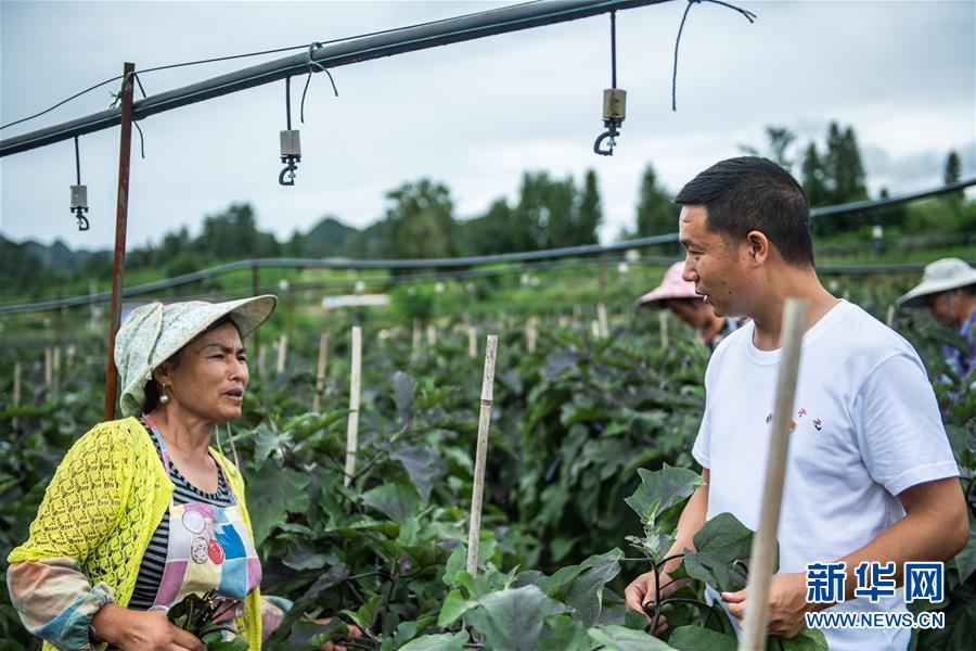 �����Aȫý�^�l���D�Ļ��ӣ���6��Ó��܊�b�������]�������ġ���(zh��n)���������F�ݡ���֧����Óؚ����һ���@����