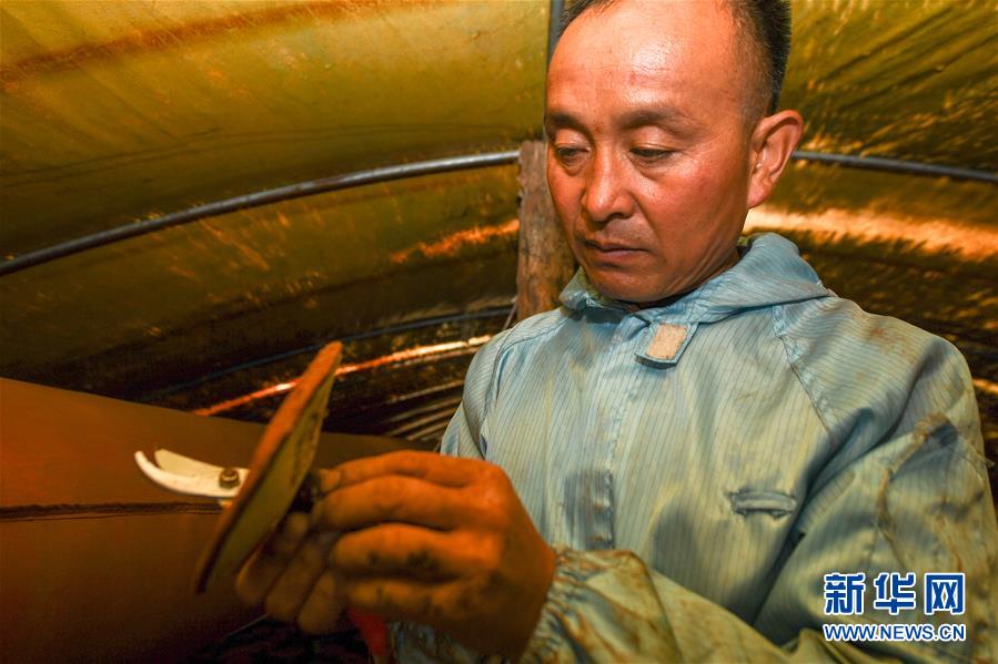 ���Q��(zh��n)�Q��Óؚ����(ji��n)���D�Ļ���(d��ng)����3���ġ�����ؚ���������^Óؚ���������־������@��һλ��ÓؚӢ�ۡ�